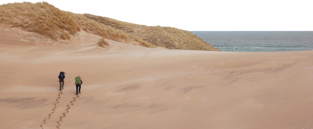 Duas pessoas andando na area de praia do site de José Ivan Lepri